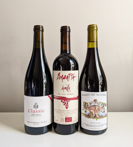 Winter Warmers Red (3-pack)