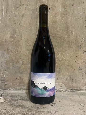 Domaine D'Ici La - Pinot/Gamay (2024)