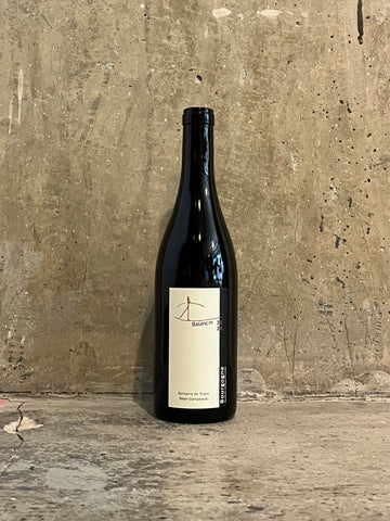Domaine de Thalie - 'Balancin' Bourgogne Rouge 2024