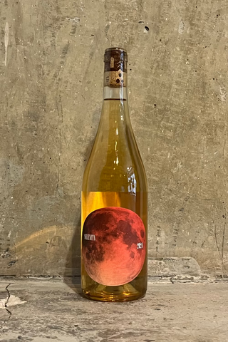 DiT Celler - Selenita Orange 2024